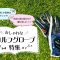 レディースゴルフグローブおすすめ特集
