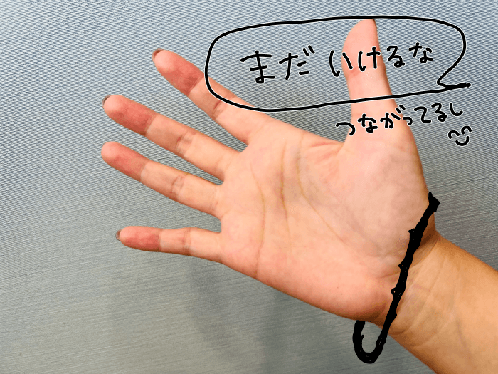 愛用ゴルフグローブの未来